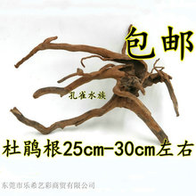 ���x�~���쾰 ��ľ ��ľ ���� �쾰�� ���N�� Ī˹��