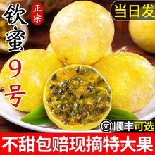 �V���J�۾�̖�S����������5������rˮ���Fժ�F�l�����֭