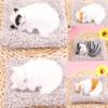 Bamboo charcoal cushion will be called ornaments to imitate the hairy cat sleeping, which will make a sound active carbon cushion cute pet decoration