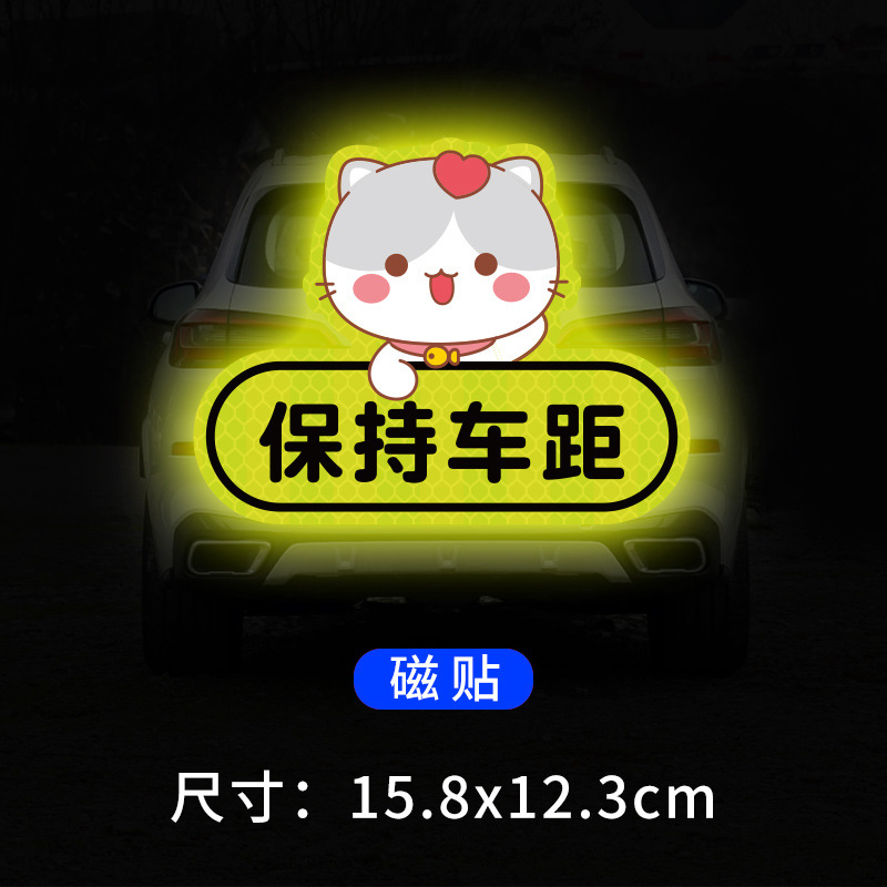 Kitten keeps distance from car magnet