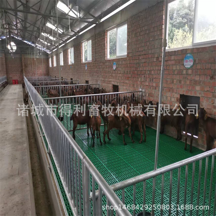 现货批发羊用漏粪板 塑料羊床板 羊舍羊圈专用 板 养羊漏粪网床