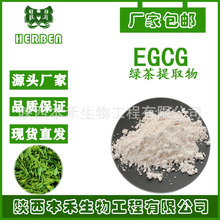 EGCG98%表没食子儿茶素没食子酸酯989-51-5 绿茶提取物多规格50%