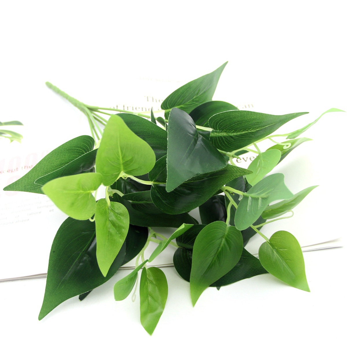 IMG_0775_副本_副本