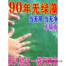 鱼塘除藻剂鱼池除绿水清除剂青苔一次净蓝藻分解素酶灭除绿藻克星