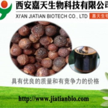 西安无患子皂苷 20%无患子皂液 无患子提取液 现货包邮