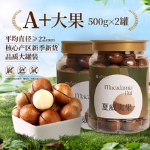 ikingo2023´wĹ500g*2ζԹeСʳ