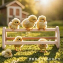 ���Nľ�|�u��Ϣ�ܑ���С�uվ�����J���u��ߌ����u�^�p���Rչʾ��