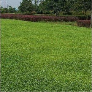 �²��R���ݷN�� �l ��ƺ�N�Ӳ��� �R���e�����X�� �~�X�ݷN��