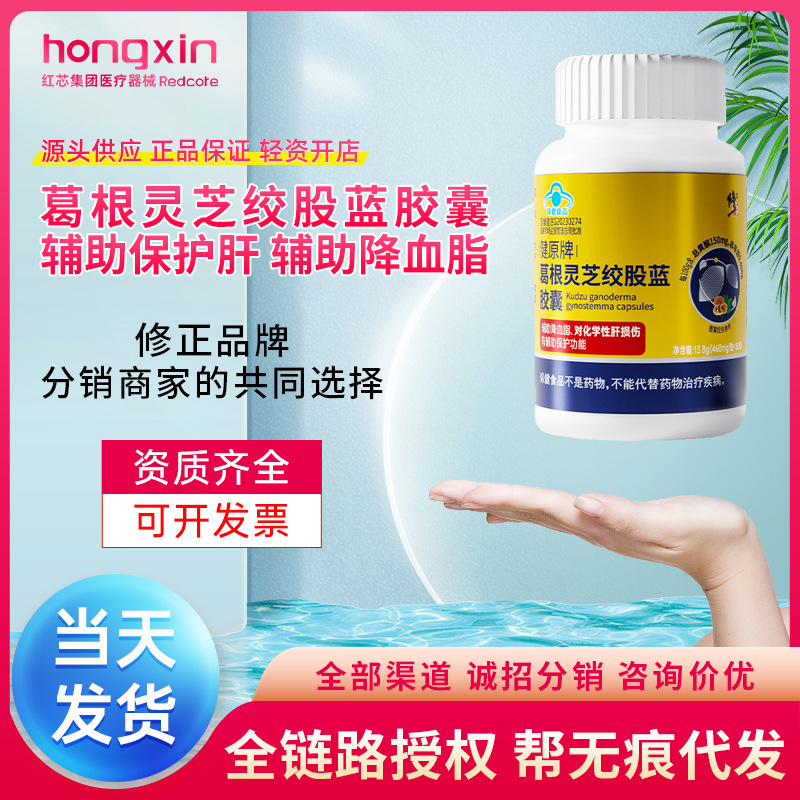 修.正 健原牌葛根灵芝绞股蓝胶囊喝酒熬夜护肝辅助降血脂保健食品