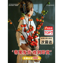 小南瓜鲜花观赏插花云南基地直发水培切枝花卉室内好养绿植物装饰