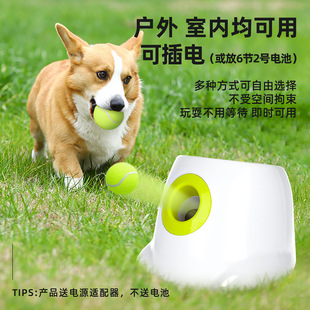 ���������␞�ԄӰl��C�W��l����߅����Ͷ�����޹������w��