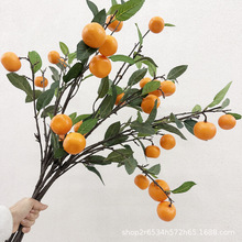 ����ɰ���٘�֦ 6�������b�����֦��ƿ�廨�[�Ž���֦