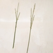 3头洋牡丹花枝 三叉11目62/42cm塑料花枝配件洋牡丹花枝装扮玫瑰
