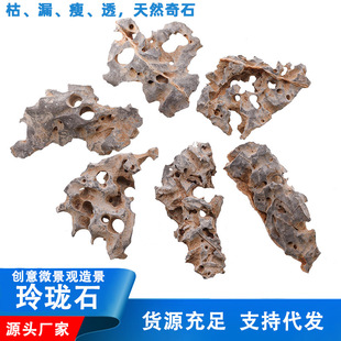 Natural Exquisite Stone Aquarium Small Fish Tank Landscaping Stone Shandong Specialty Micro Landscape Hollow Stone Ornaments Original Stone