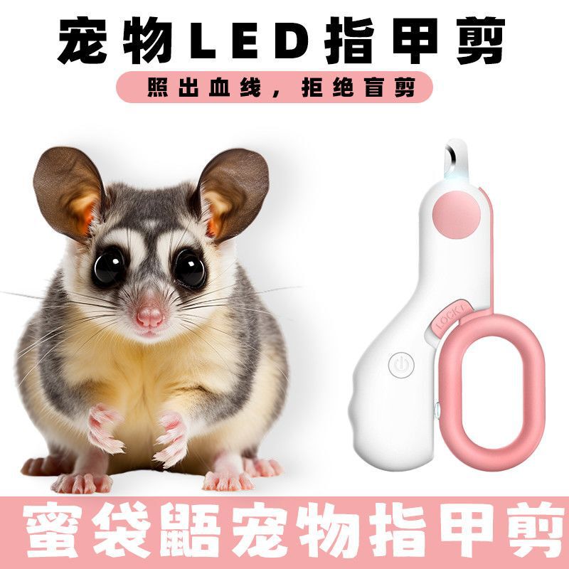 Specialized nail clippers for sugar gliders, complete set with light, nail clippers for chinchillas, guinea pigs, and other small pets, nail grinder