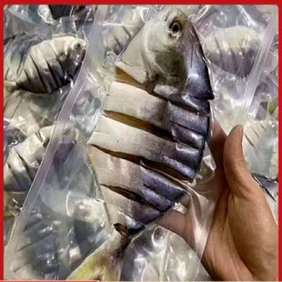 �������~������K�~���~�ɺ��r��؛���}�~տ���خa�L�ɏV�|