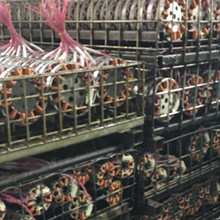 ˮ������aƷ���T�^������׃��������^������N늙C�^늽��|��