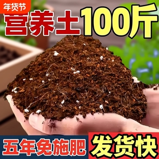 100��I�B��ͨ�����B���Nֲ�������ÏS��ֱ�N����������N��