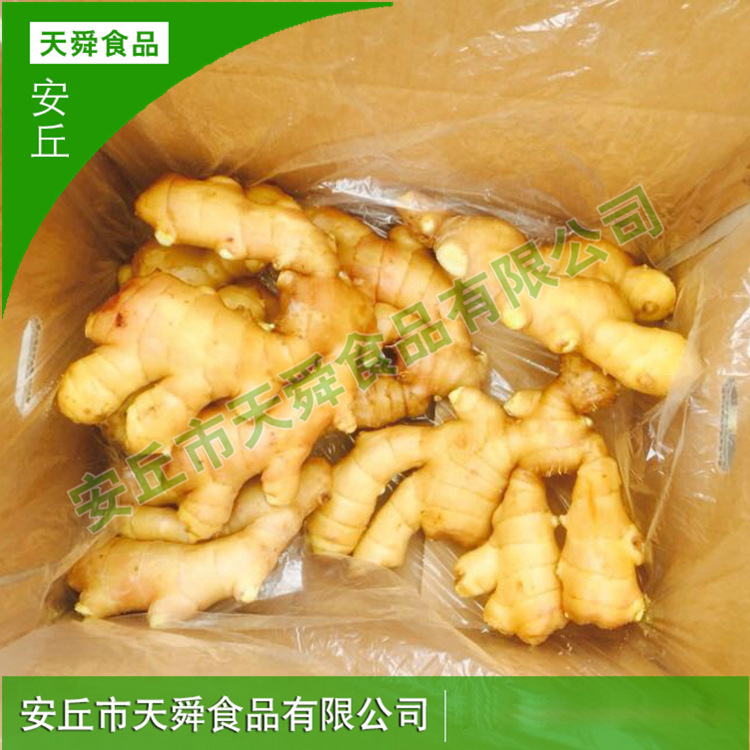 3009814881_144418929