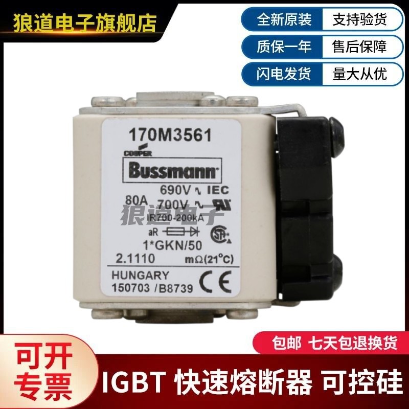 巴斯曼熔断器 型号齐全170M3562 170M3563 170M3564 170M3565现货