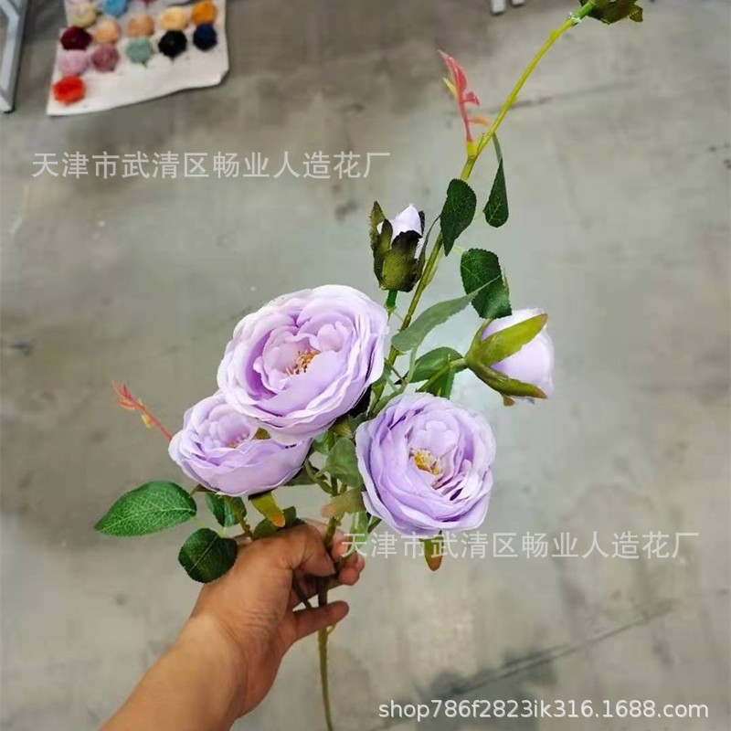 해피 메이