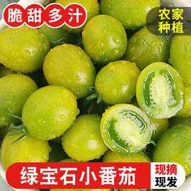 新鲜绿宝石小番茄2斤5斤当季孕妇水果西红柿子青口甜蜜圣女果疏菜