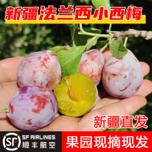 新疆西梅李子新鲜水果小法兰西应季孕妇西梅当季整箱斤顺丰包邮