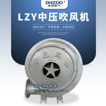 LZY-750�X���Љ����L�C750W�����ɹ��T�t��偠t���L�C220/380V