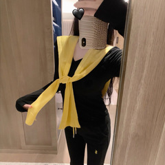 纯色V领刺绣修身打底衫上衣修身显瘦超火穿搭长袖T恤+黄色披肩