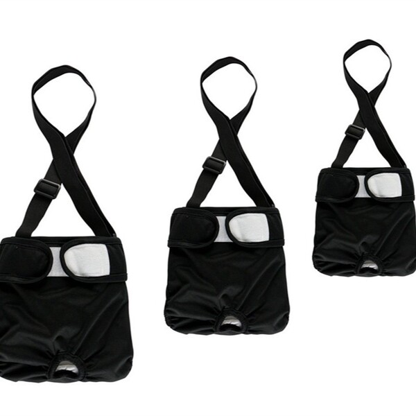 Lanyard holder