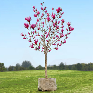 A generation of purple magnolia seedlings potted magnolia flowers balcony landscape trees fragrant four seasons flowers green plants