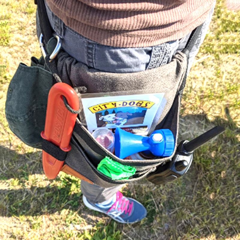 O1CN016vNjFL238gjLkpUYK_!!2201