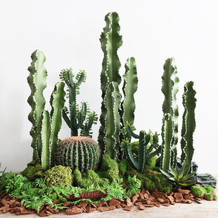 Nordic Style Spiked Cactus Potted Plant Artificial Cactus Landscaping Green Plant Tropical Succulent Decoration