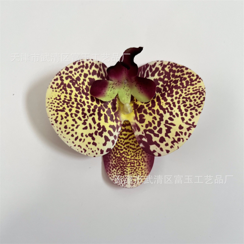 Yellow and purple leopard color