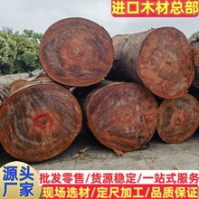 大径安东马油原木 金丝黄檀 安东 马油 实木家具乐器台球杆木料