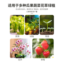 ?ledȫ���Vֲ�����L�����e27�ݿڷ�̫ꖹ��a���¼���ݮ�Gֲ����