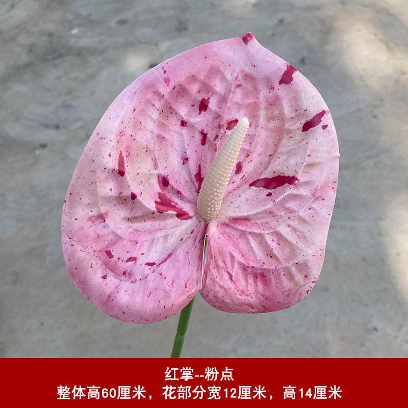 팜 핑크 점 업그레이드