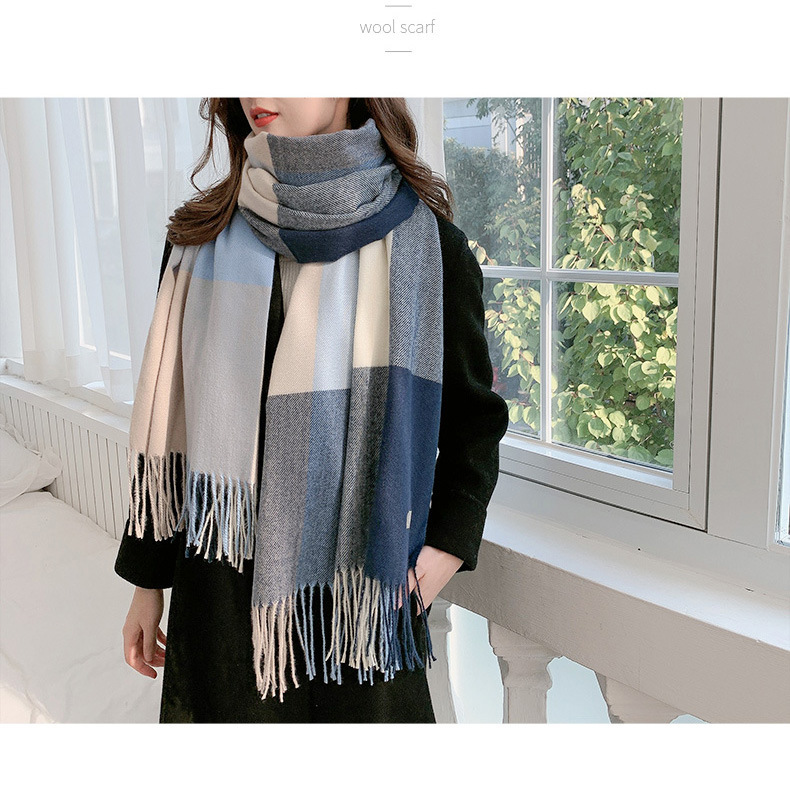 Women's Casual Simple Style Color Block Imitation Cashmere Tassel Scarf display picture 2