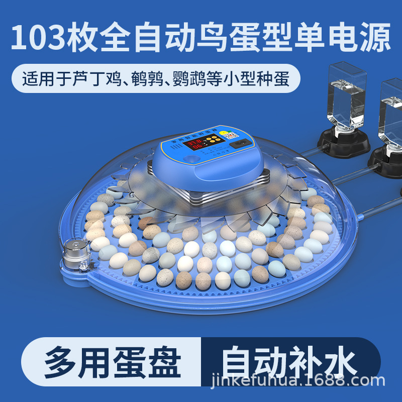 작은 알 103개 [단일 전기]