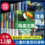 课外趣味小学生彩图书籍