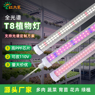 T8һ�wֲ��������L��Led�M����������߲��҃�ȫ���V�a���