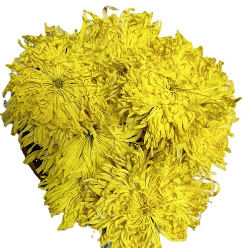 New goods wholesale bulk Huangshan Golden Silk Chrysanthemum, local source Golden Silk Chrysanthemum tea, one flower per cup, Golden Silk Chrysanthemum.