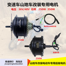 늄܇36V48V350WoˢXǰ܇b늙C݆M׼