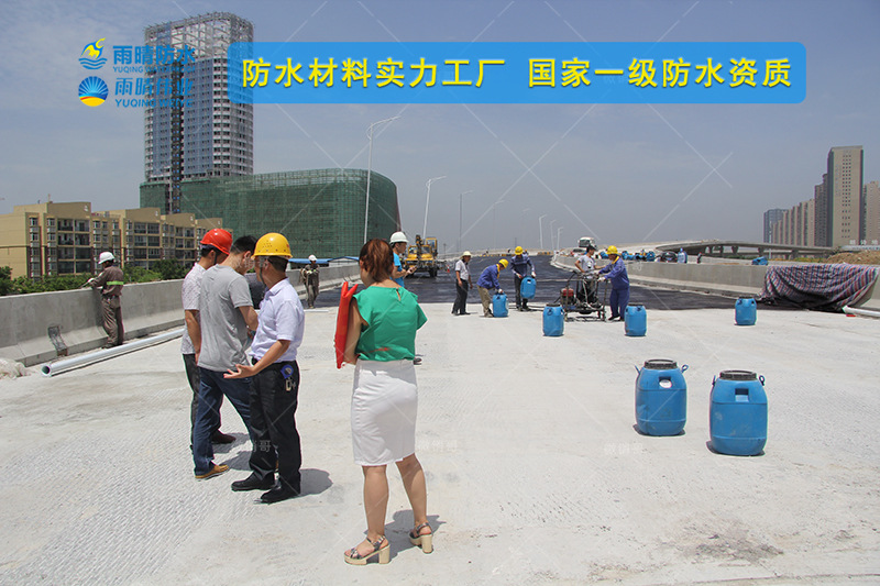 邵阳PBL改进型聚合物防水涂料公司地址