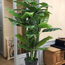 ֲ��������҃��b[�O�W�t��ط����Gֲ�٘�͏d�쾰�Ž���