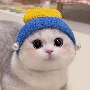 Amazon Pet Cat Dog Frog Headgear Cute Small Dog Funny Hat Rabbit Cat Headwear Dress up
