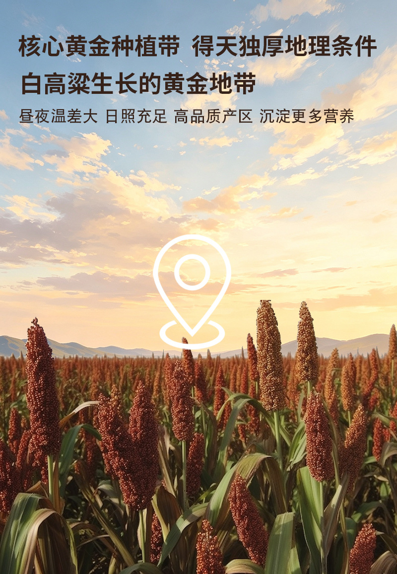 Cooked White Sorghum Flour 500g Shanxi Style Low Temperature Roasted Instant Multigrain Powder preparation