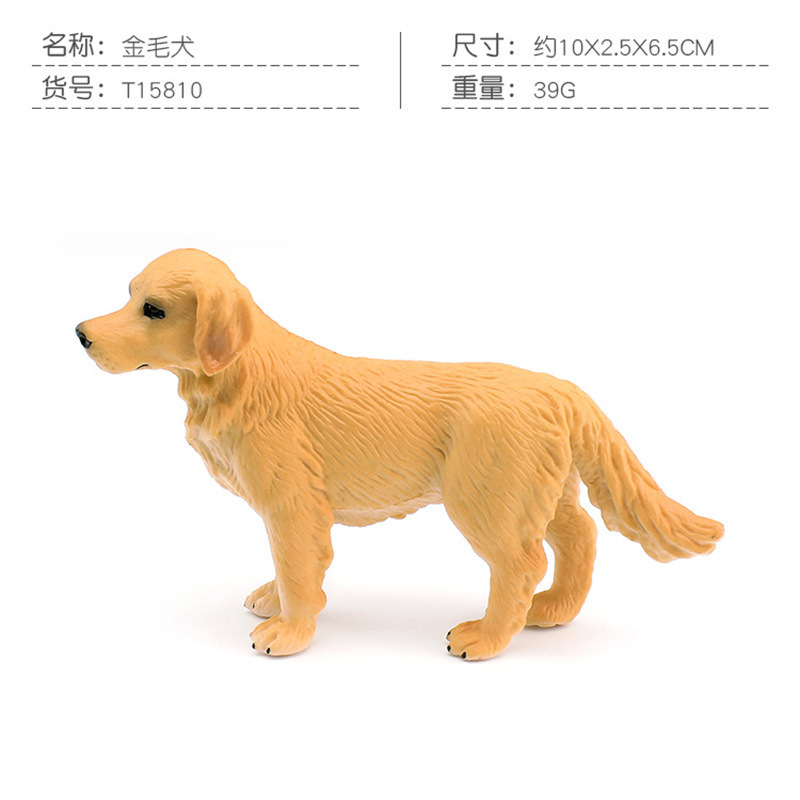 PL127-196 golden retriever 39g