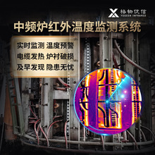 格物优信高温热成像仪 中频炉红外测温系统 冶金红外热像仪DS-HG