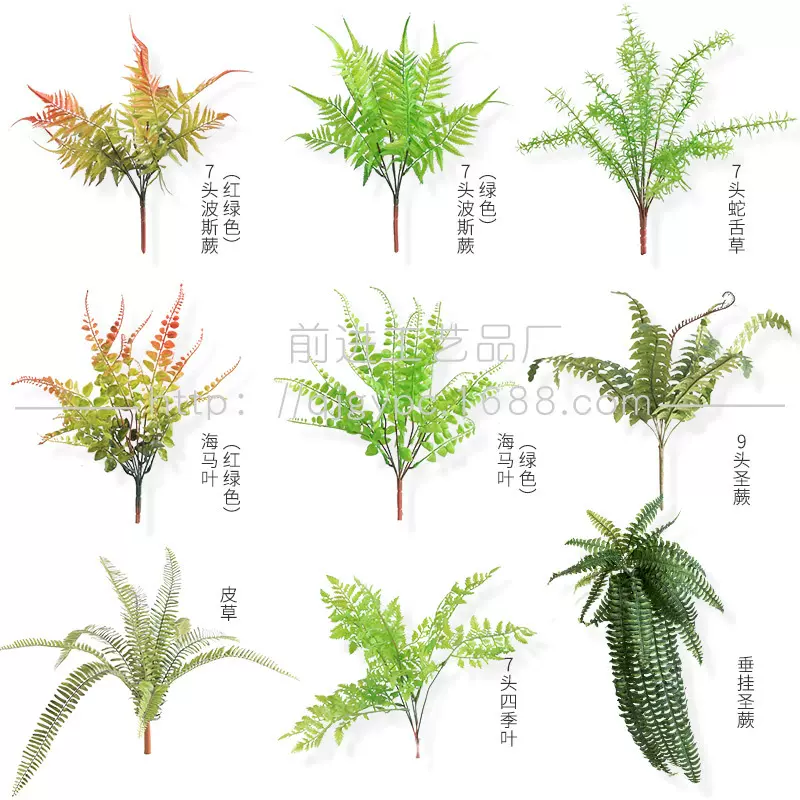 仿真植物蕨类植物波斯蕨排草植物墙搭配植物绿化工程绿植软装假花